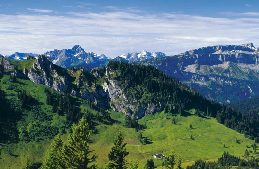 In den Pausen kannst du bei leichten Wanderungen und Spaziergängen die unvergessliche Landschaft des Kleinwalsertals genießen