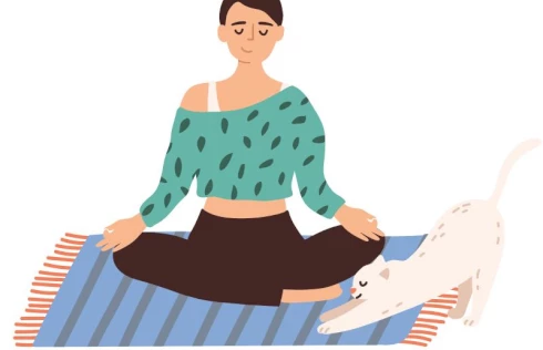 Wie starte ich mit Meditation? Grundlagen für Anfänger und Fortgeschrittene mit Anfängergeist