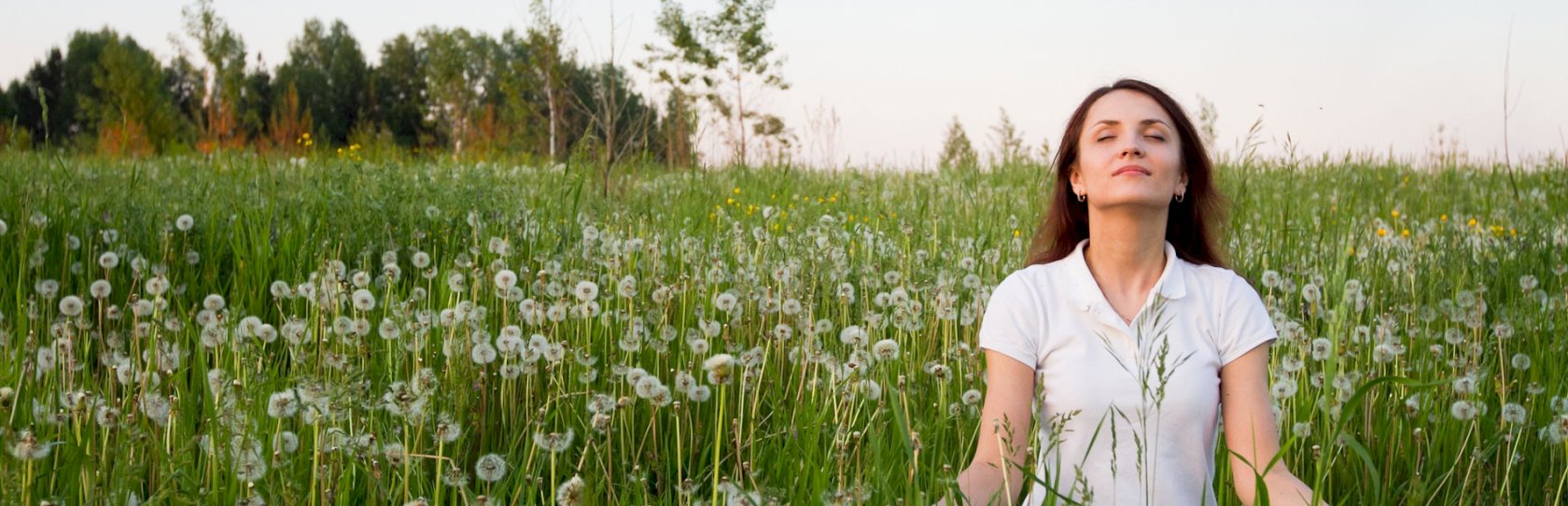 Meditation in einer Gemeinschaft: Wege zum Sein Friends