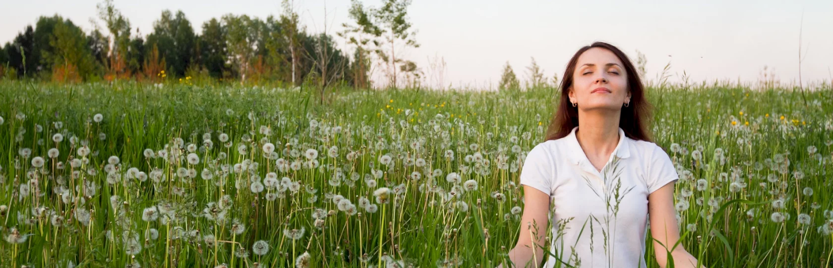 Meditation in einer Gemeinschaft: Wege zum Sein Friends
