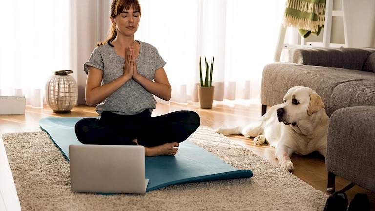 Online-Live-Meditationen bequem von zu Hause aus mit Wege zum Sein Friends